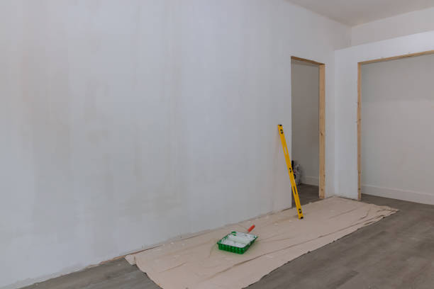 Best Drywall Sanding and Smoothing  in Bellevue, OH