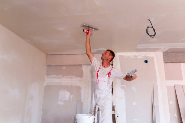 Best Interior Painting  in Bellevue, OH